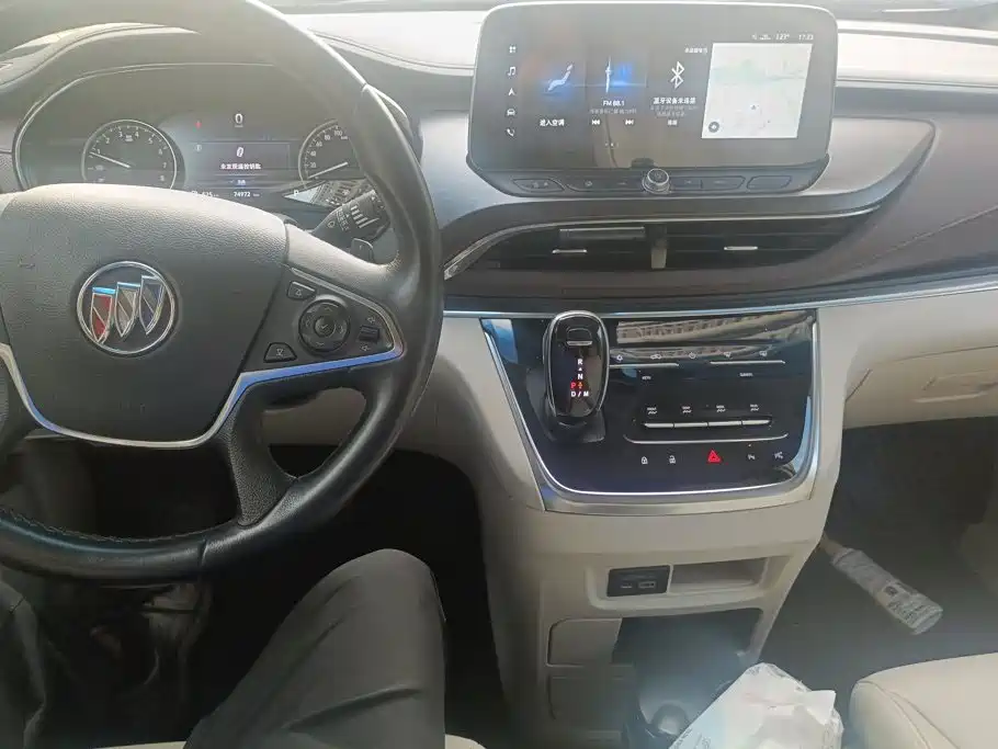 Buick GL8 — миниатюра 11