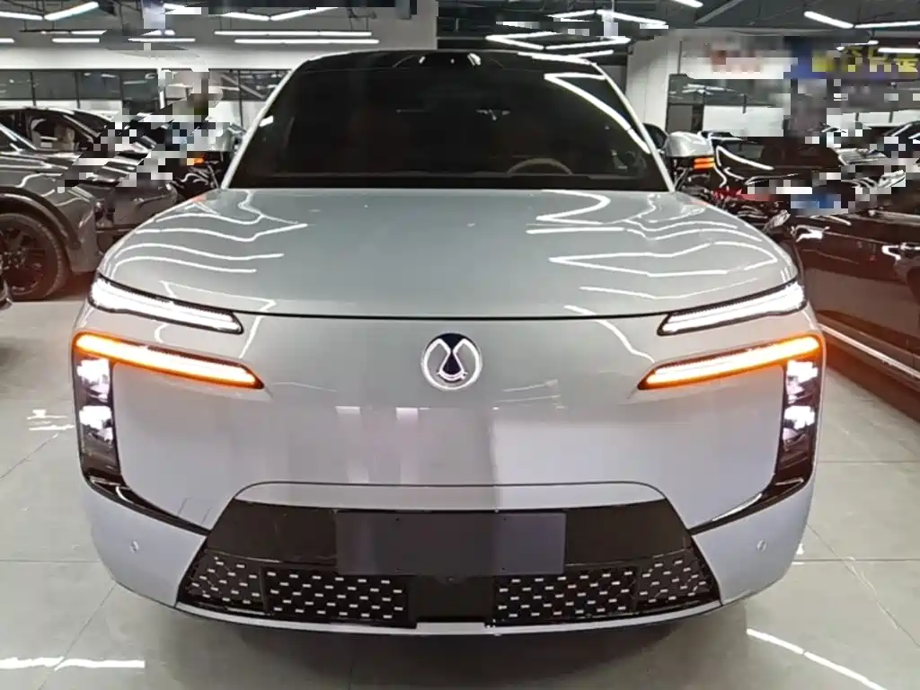 Denza Denza N8L — миниатюра 3