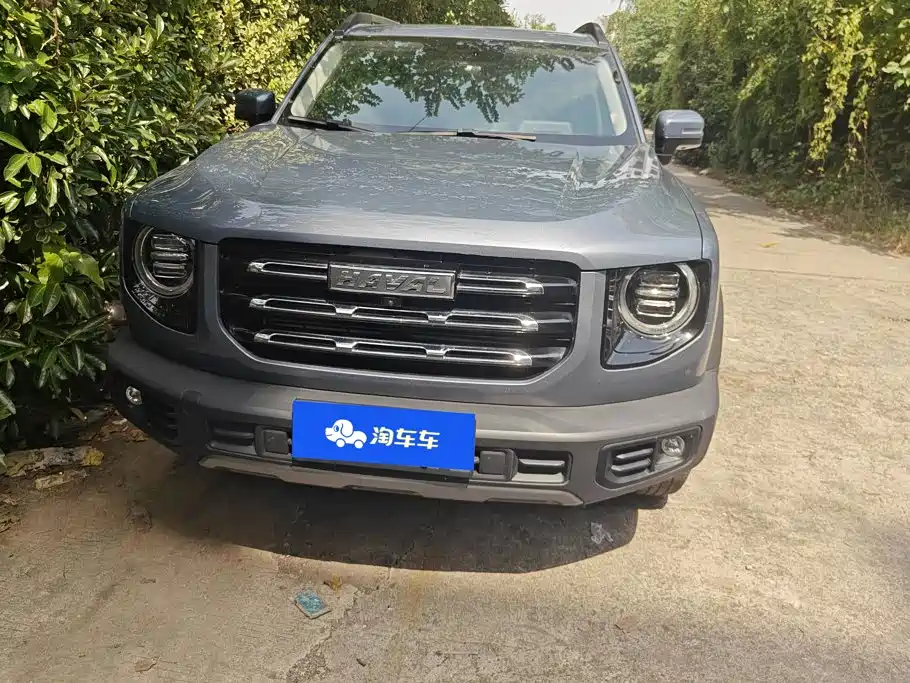 Haval Big Dog — миниатюра 2