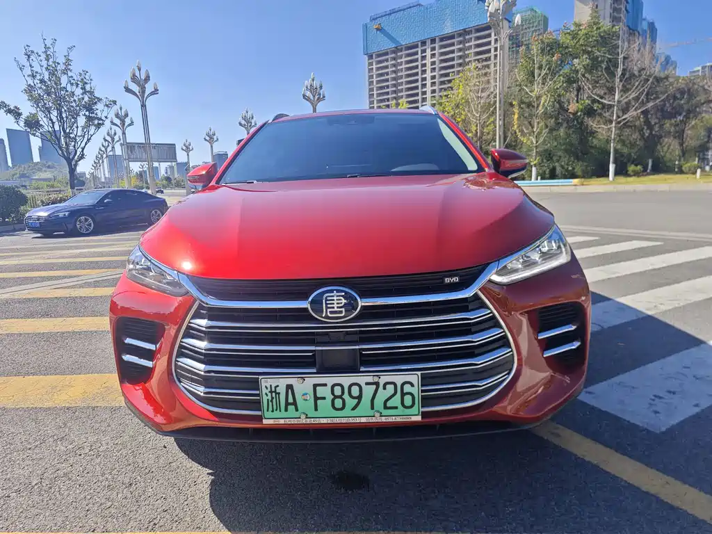 BYD Tang New Energy — миниатюра 2