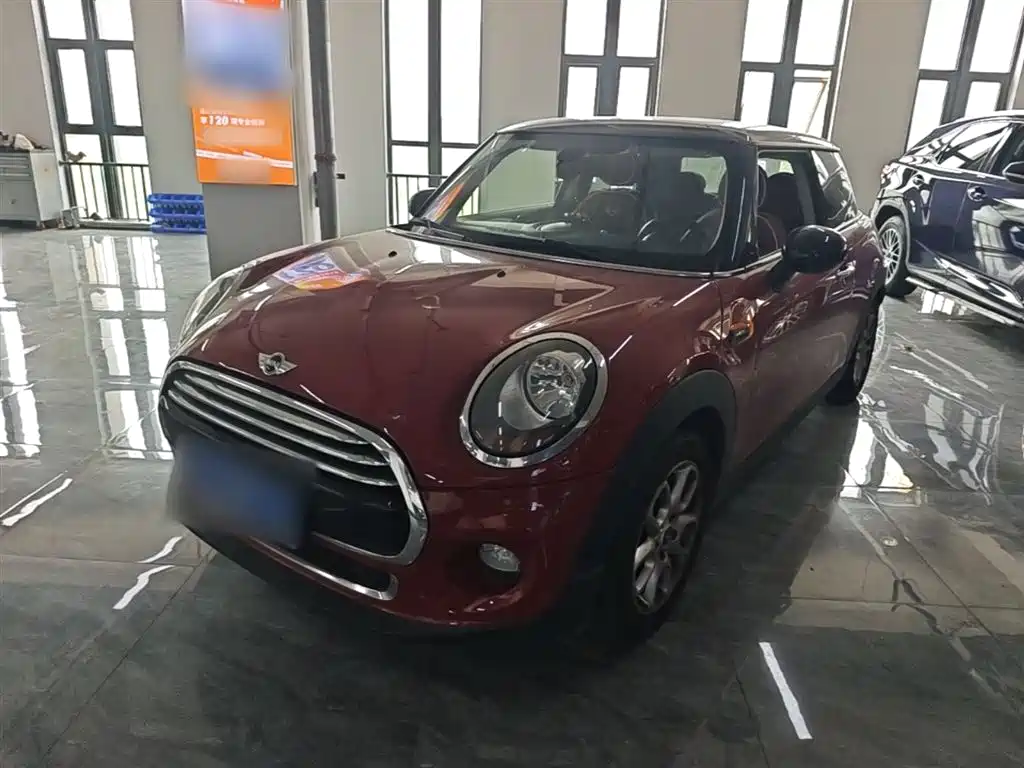 Mini Mini 2014