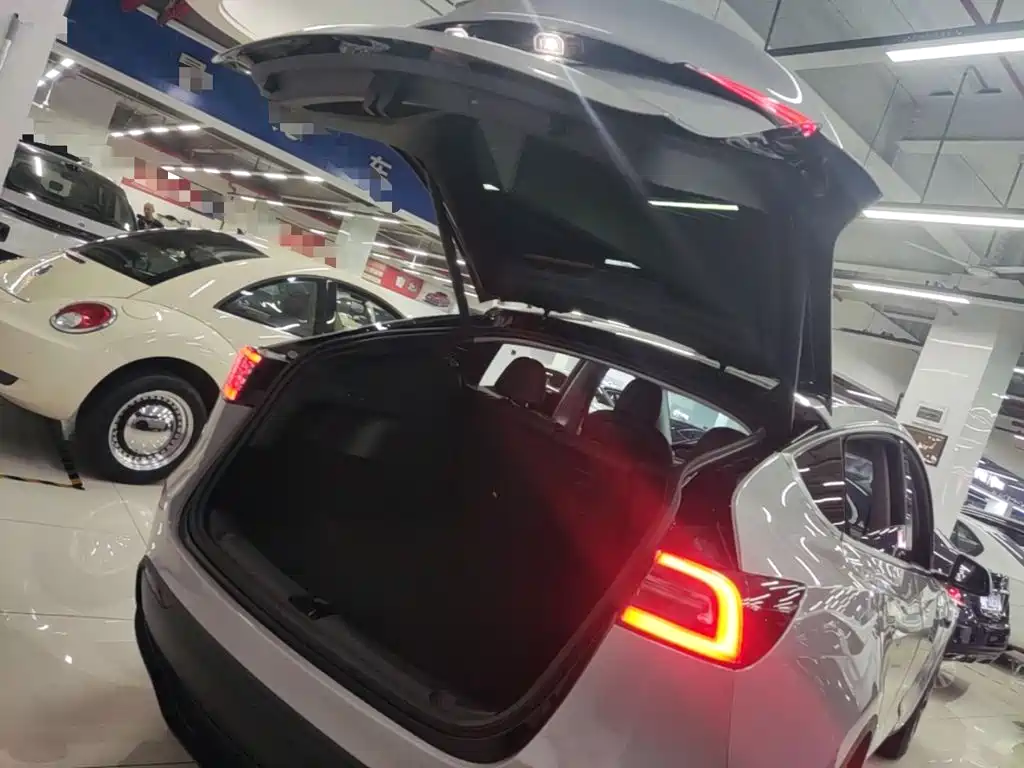Tesla Model Y — миниатюра 19
