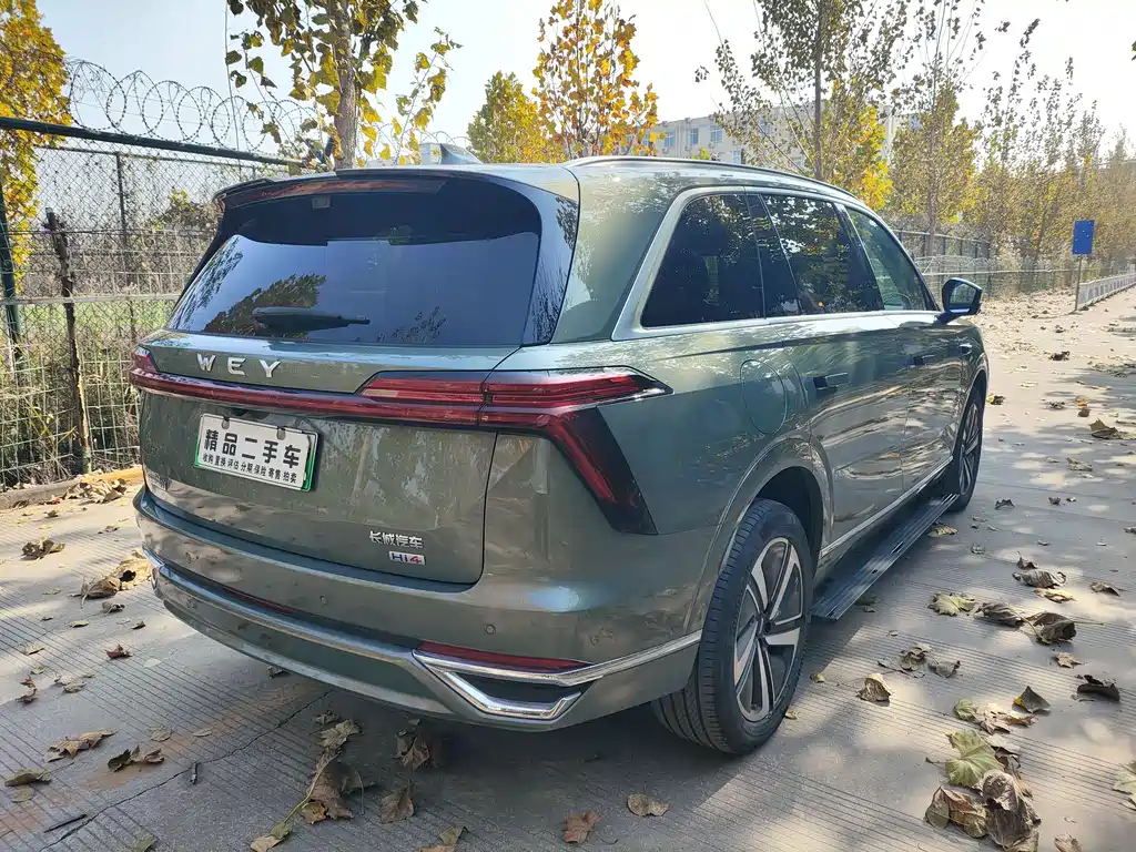 WEI PAI WEI BRAND BLUE MOUNTAIN