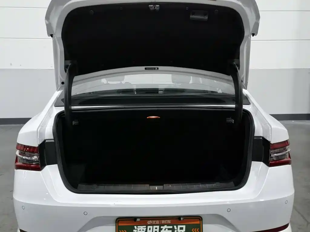 BYD Qin Pro NEV — миниатюра 16