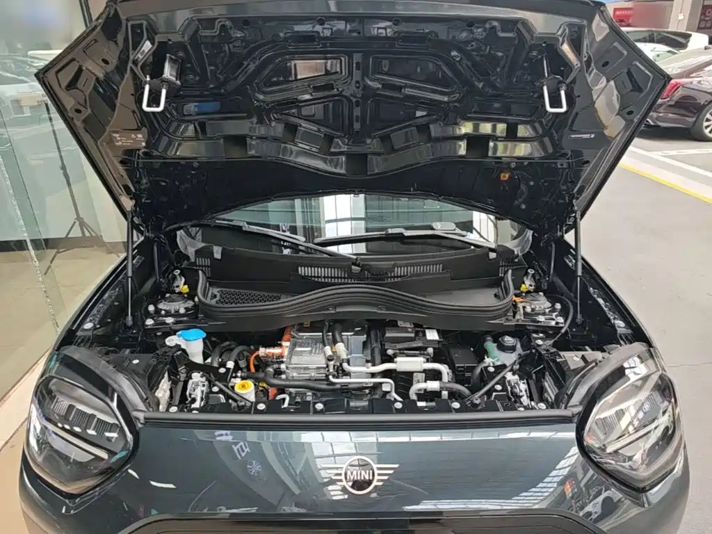 MINI MINI ACEMAN EV — миниатюра 20