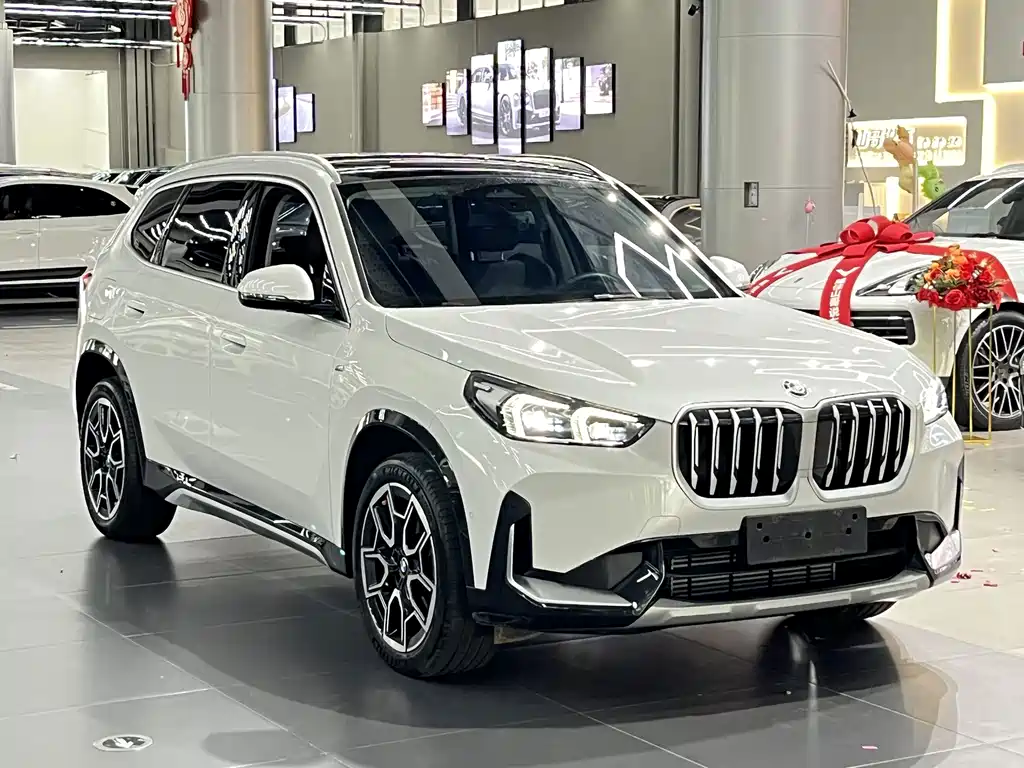 BMW X1 — миниатюра 3