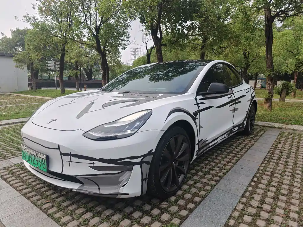 Tesla Model 3 2019