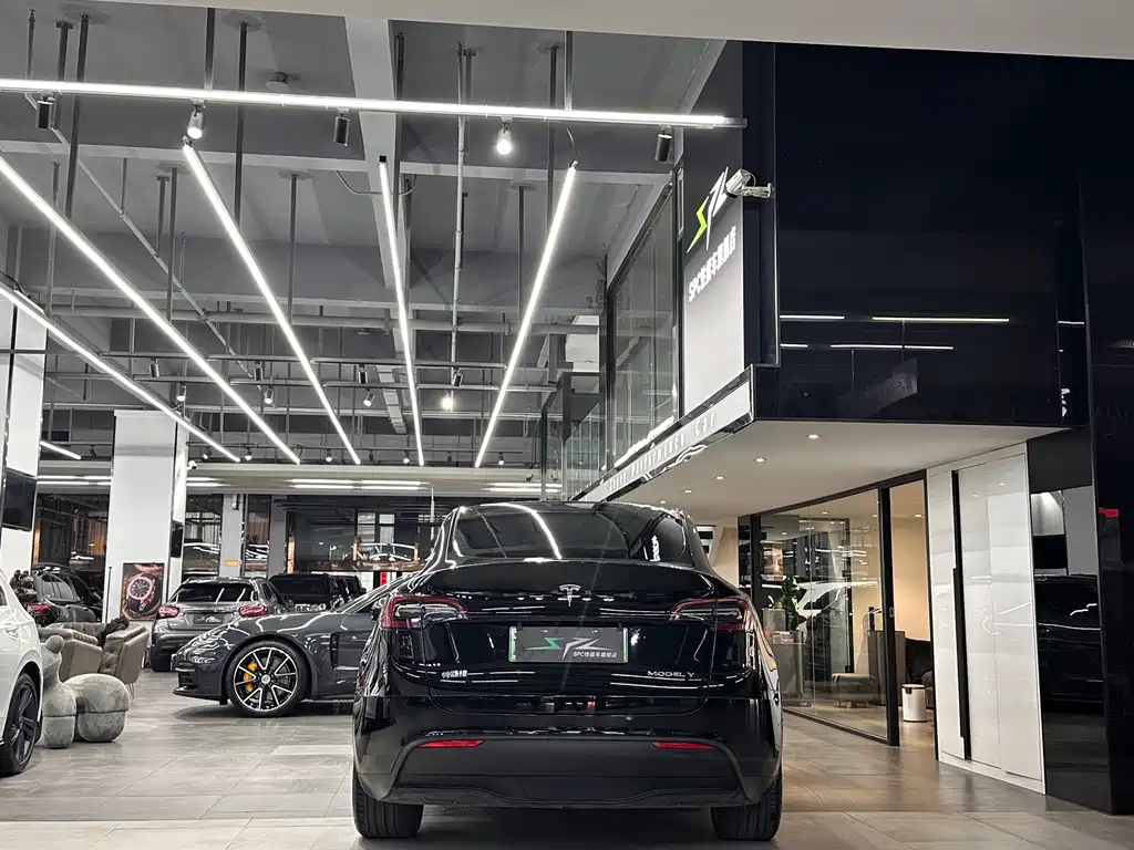 Tesla Model Y — миниатюра 16