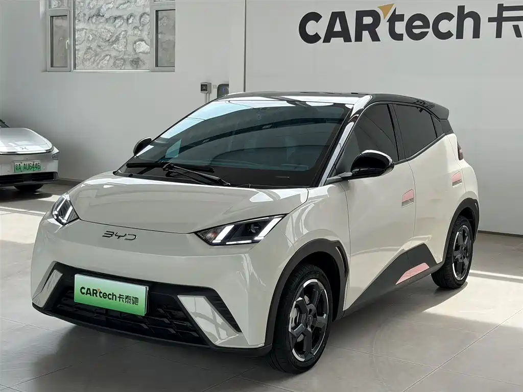 Byd Seagull 2024