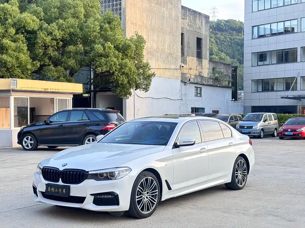 BMW 5 Series 2019