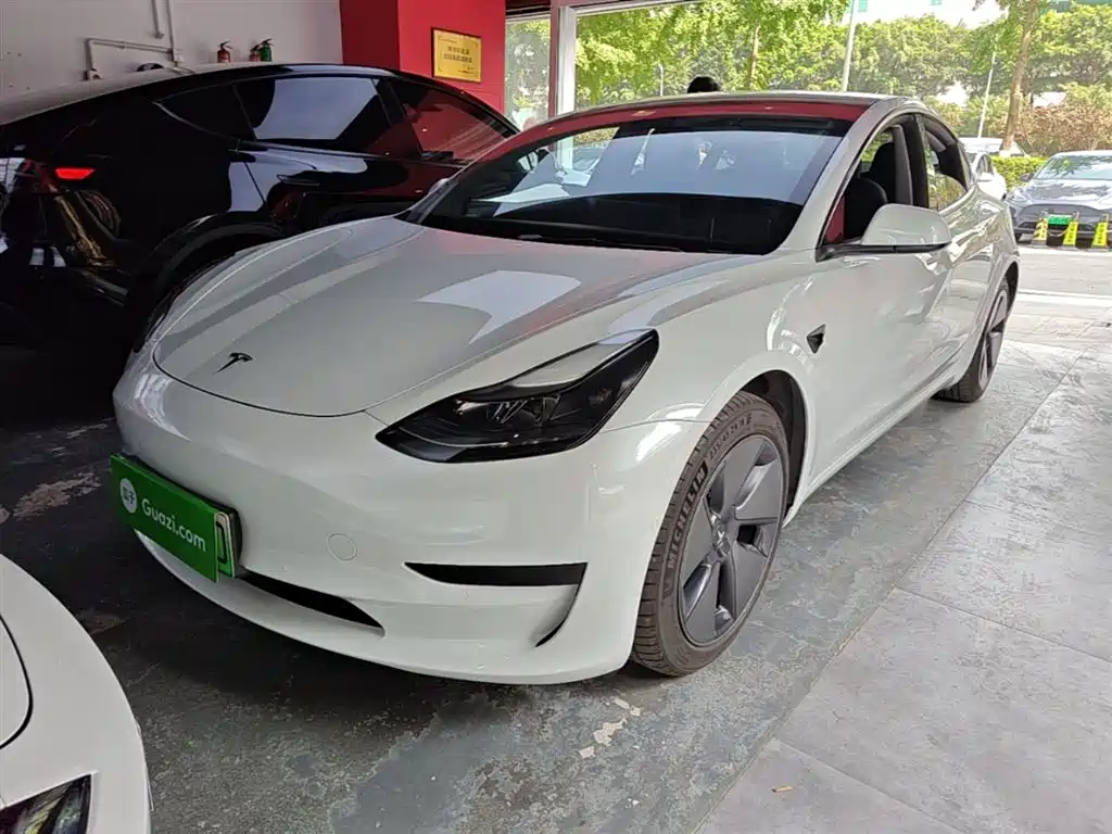 Tesla Model 3 2021