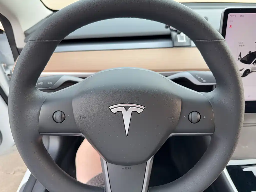 Tesla Model 3 — миниатюра 8
