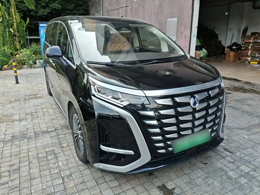 Denza Denza D9 — миниатюра 4