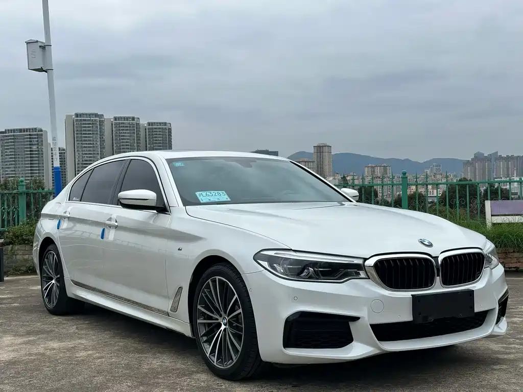 Купить BMW 5 Series