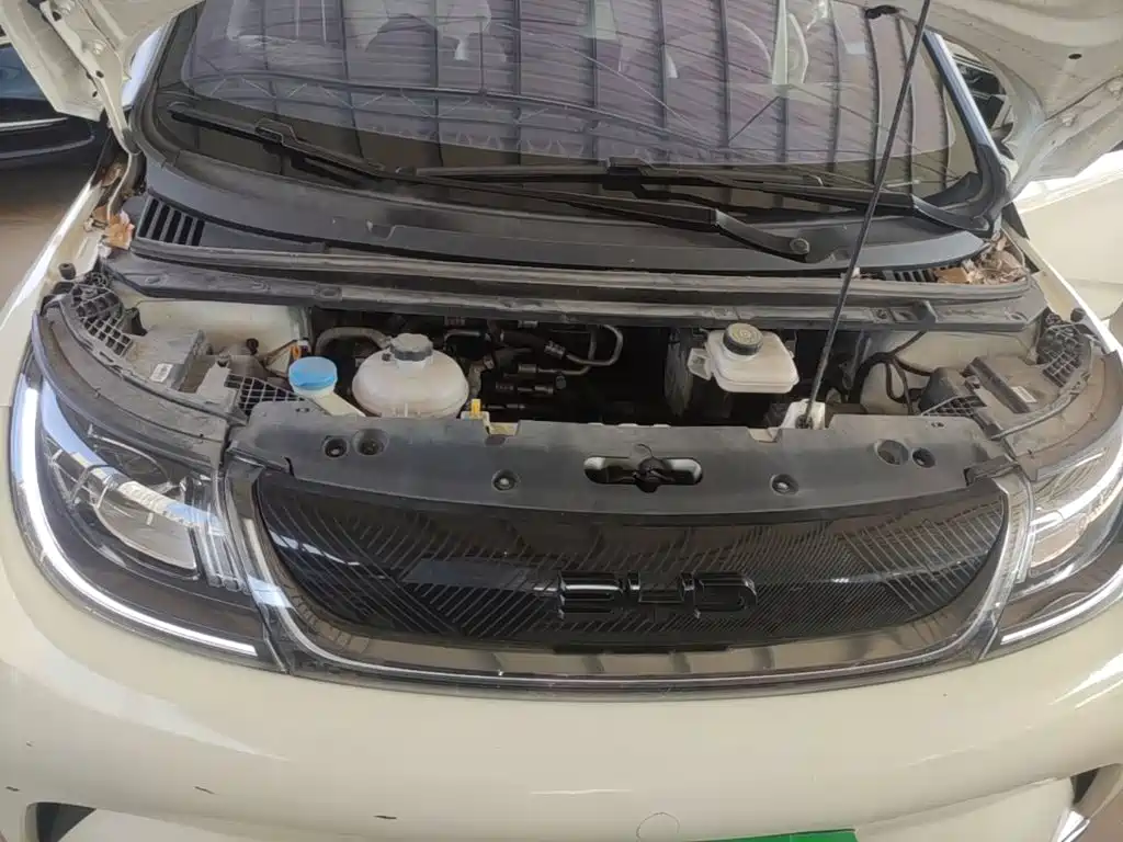BYD Dolphin — миниатюра 20