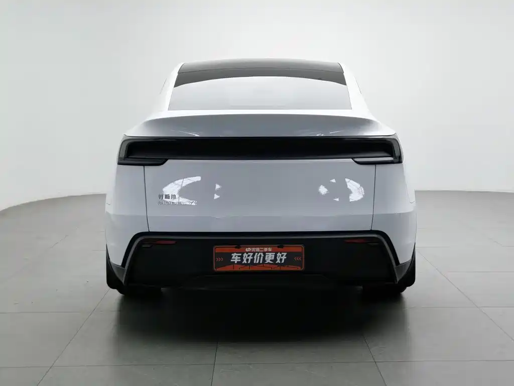 Tesla Model Y — миниатюра 4