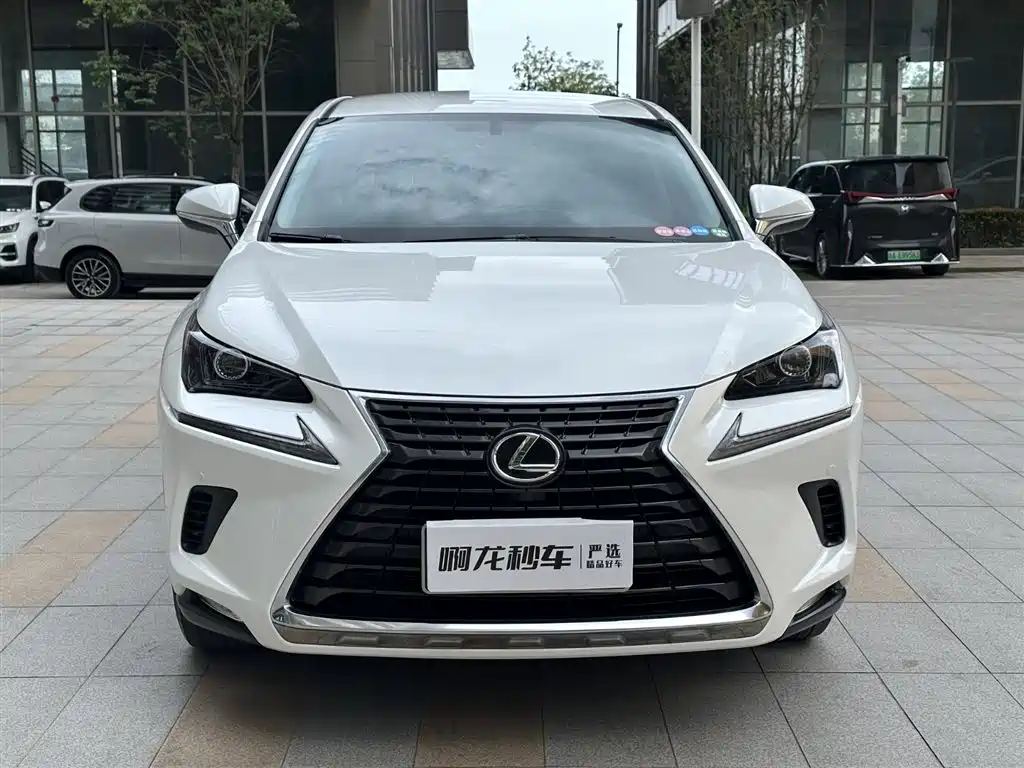 Lexus NX 2020 200 VI