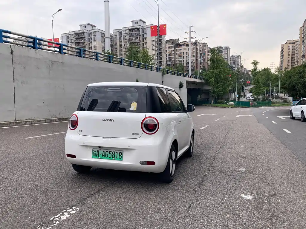 Qiyuan Lumin — миниатюра 9