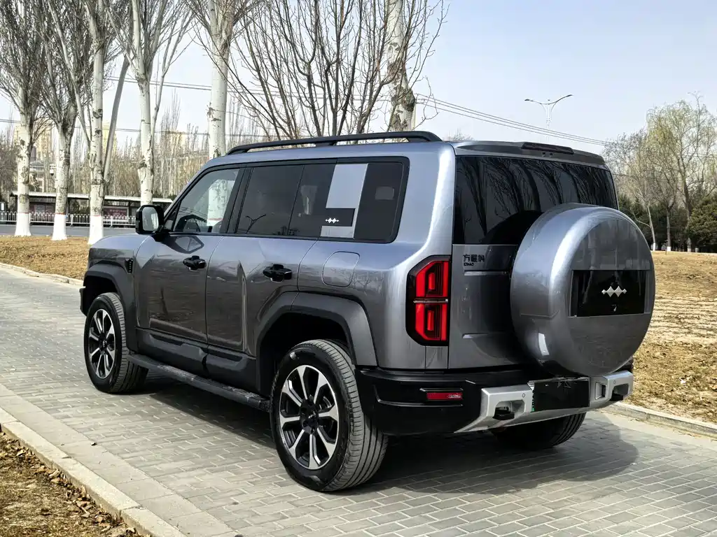 FANG CHENG BAO LEOPARD 5