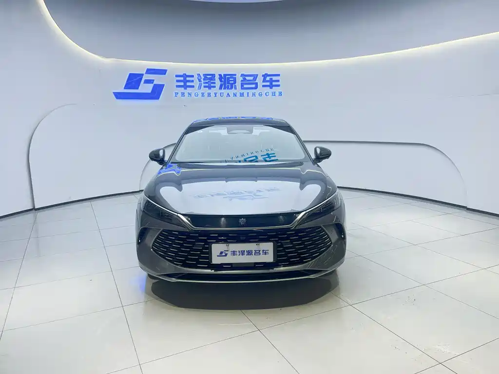 BYD QIN L