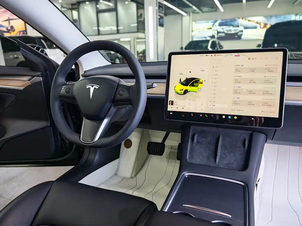 TESLA MODEL 3