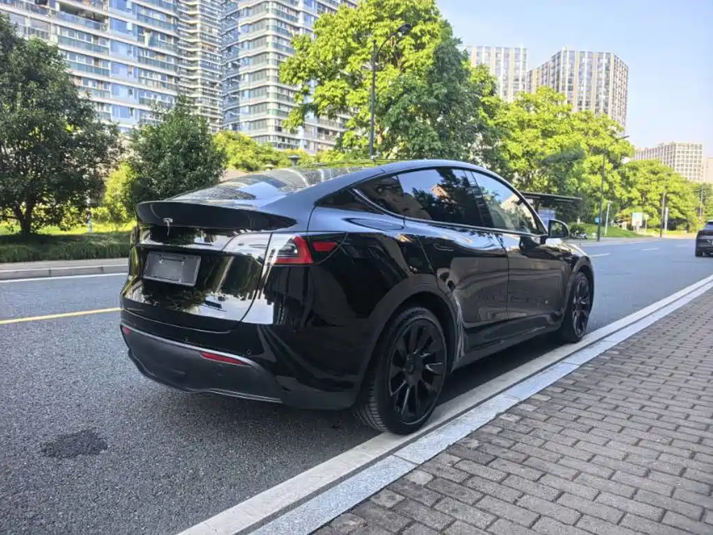 Tesla Model Y — миниатюра 4