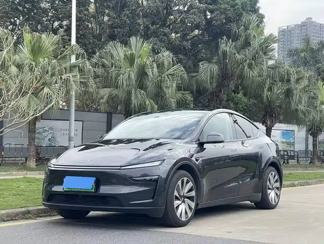 TESLA MODEL Y 2025