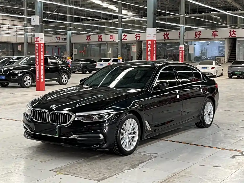 BMW 5 Series New Energy 2021