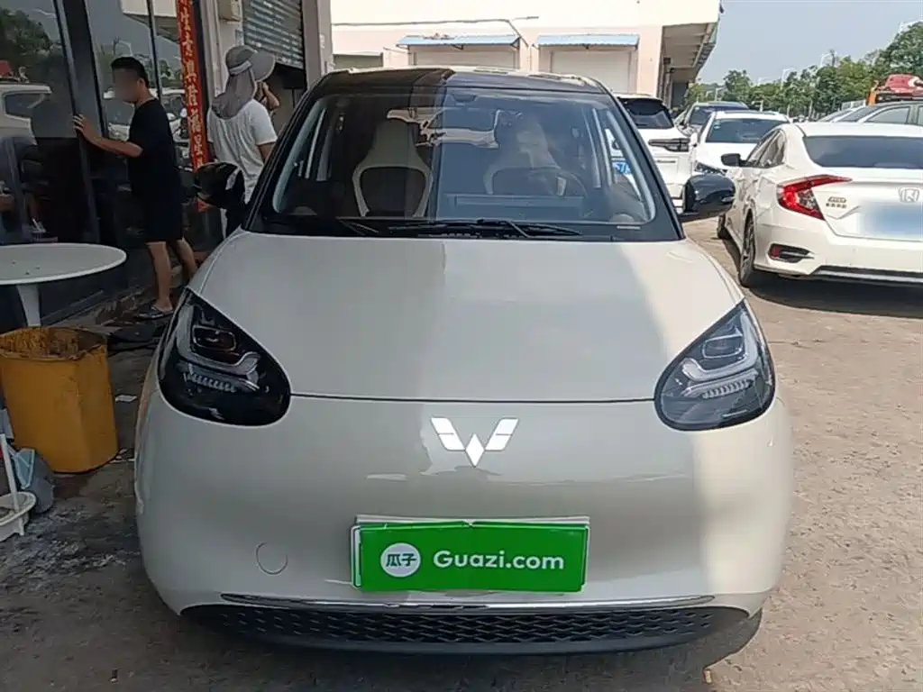 Wuling Binguo 2024 333km Enjoy