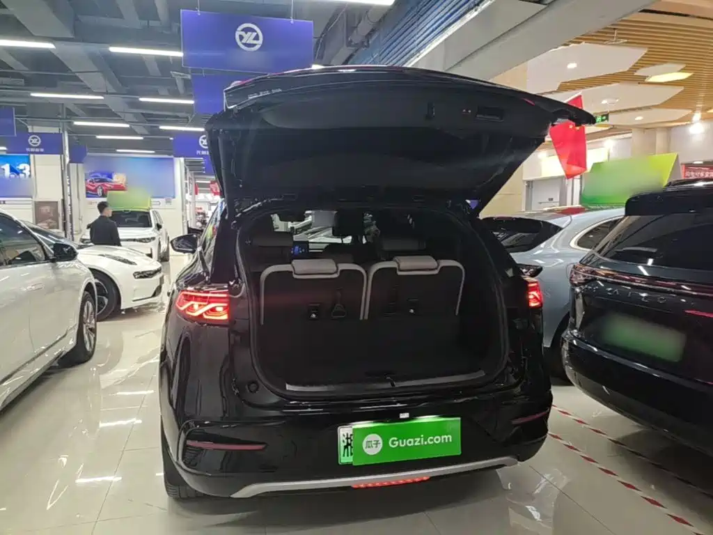 BYD Tang New Energy — миниатюра 19