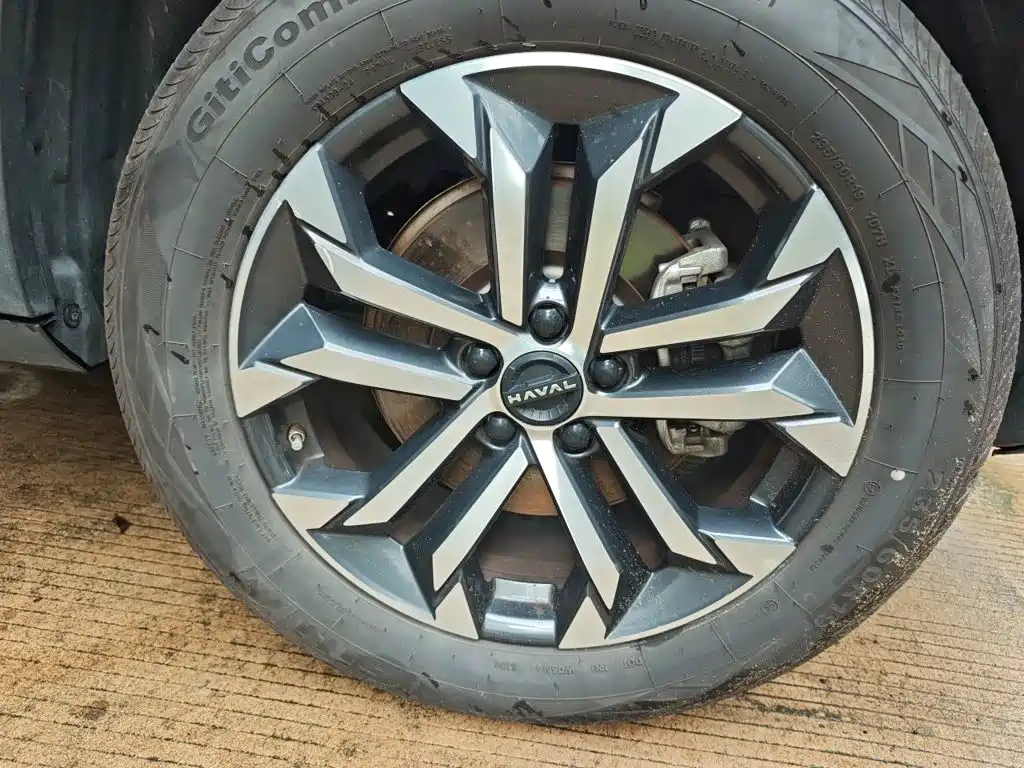 Haval Big Dog — миниатюра 24