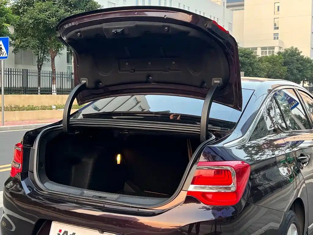 DS DS 5LS — миниатюра 29