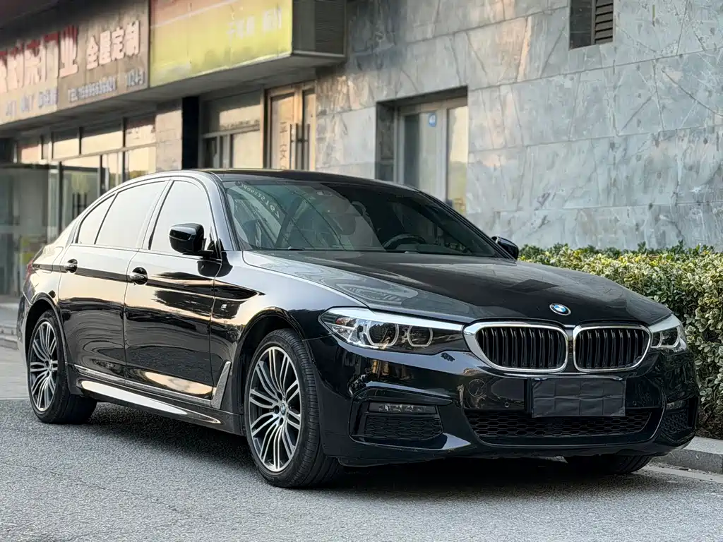 BMW 5 SERIES