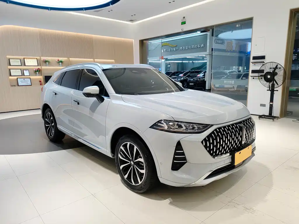 WEI PAI WEI BRAND MOCHA