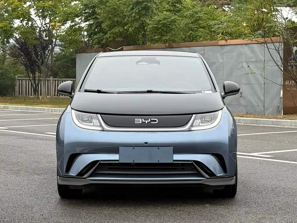 BYD Dolphin — миниатюра 2