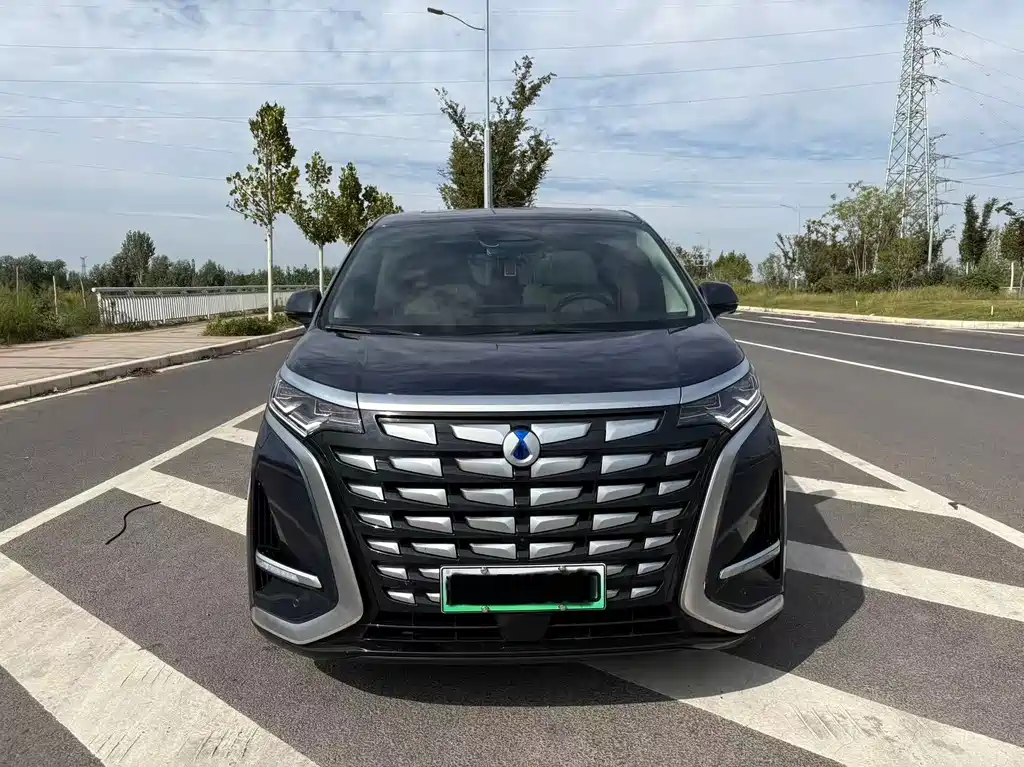 Denza Denza D9 — миниатюра 2