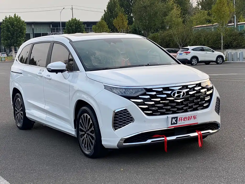 Hyundai Custo — миниатюра 3