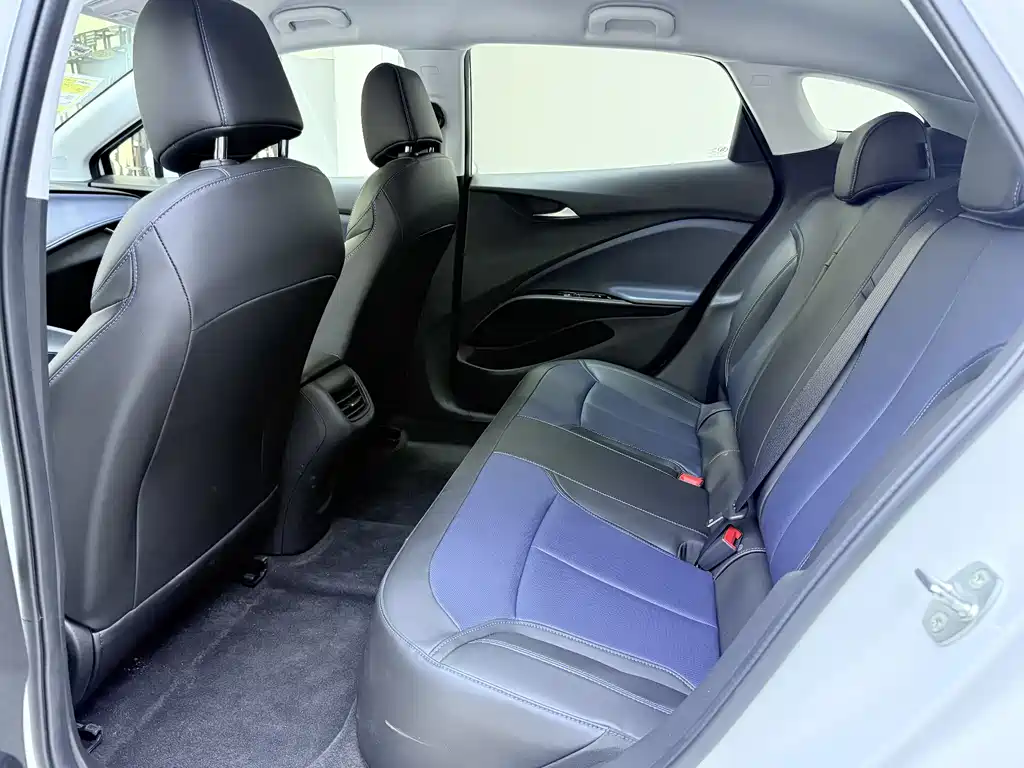 BUICK SLIGHTLY BLUE 6