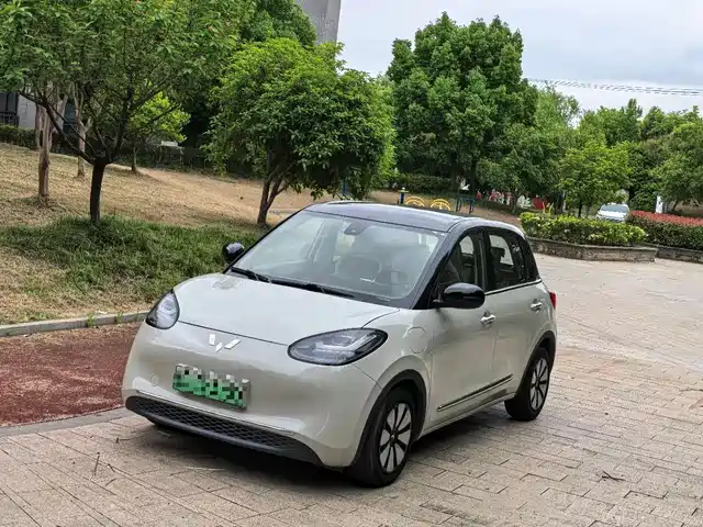 2023 Wuling Motors Binguo