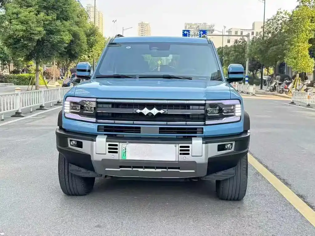 FANG CHENG BAO LEOPARD 5