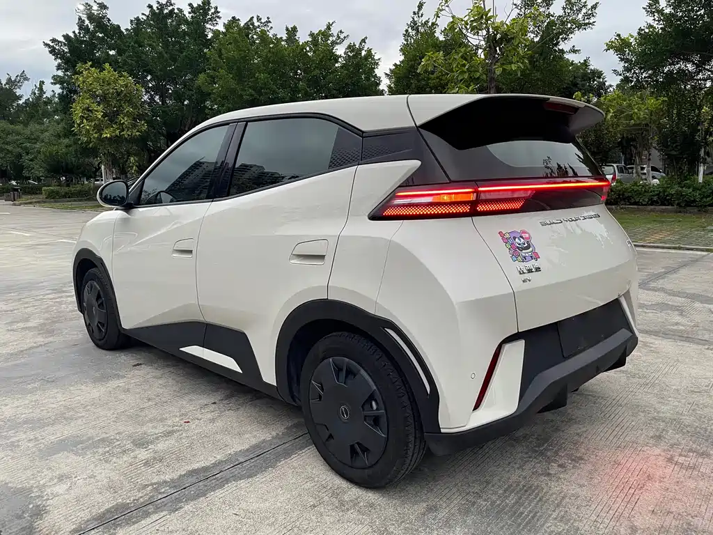 BYD Seagull 2024 305km Freedom