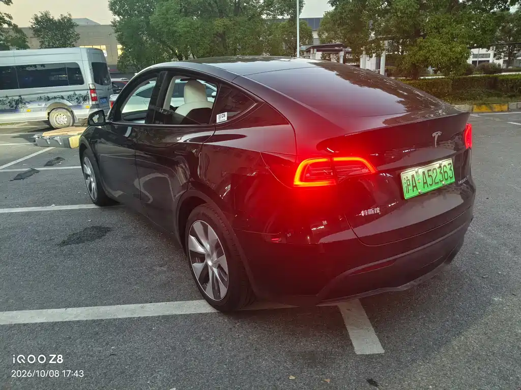 Tesla Model Y — миниатюра 6