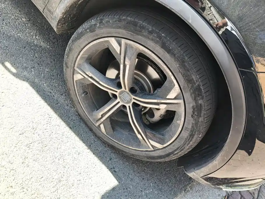 BYD Tang New Energy — миниатюра 6