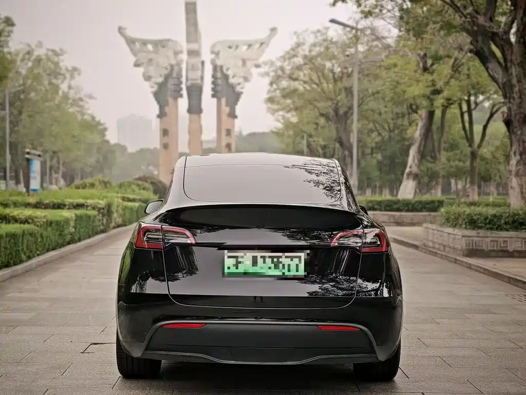 Tesla Model Y — фотографии объявления, Фото 9