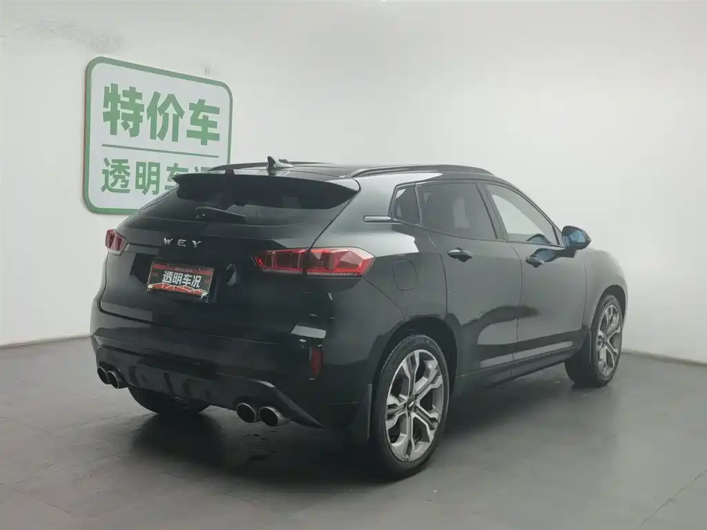 WEI PAI WEI BRAND VV7