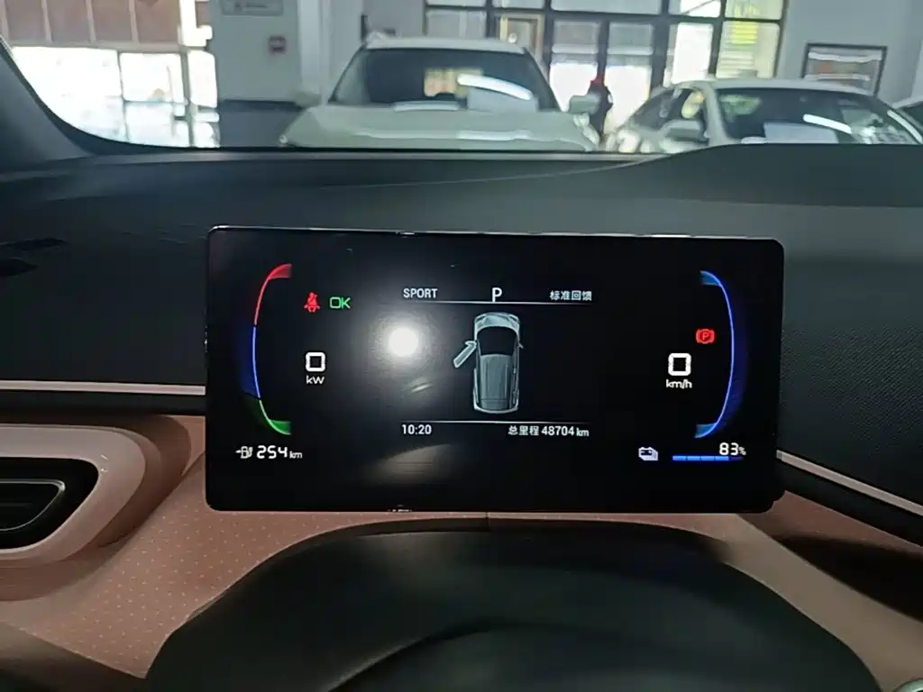 BYD Seagull — миниатюра 12