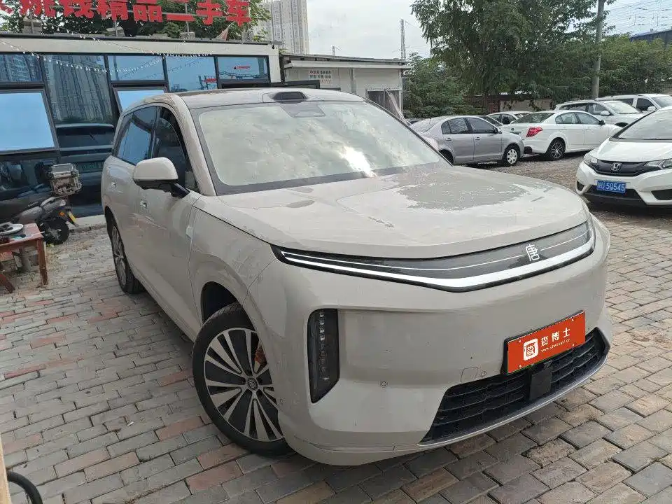 BYD Datang — миниатюра 2