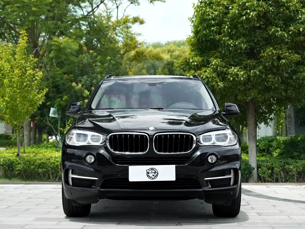 BMW X5 (Import) — миниатюра 2