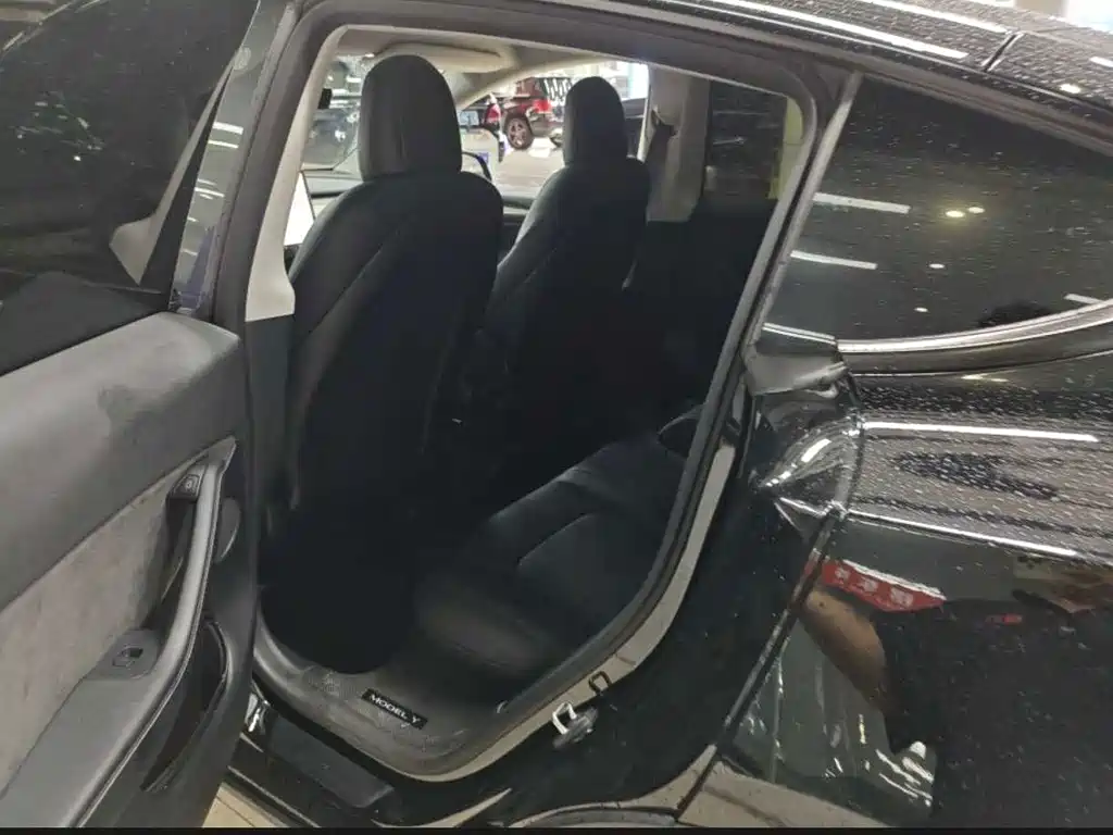 Tesla Model Y — миниатюра 6