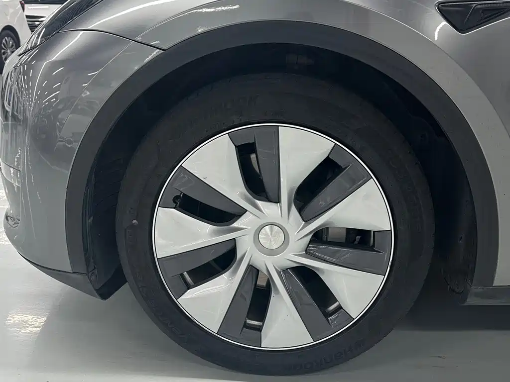 Tesla Model Y — миниатюра 6